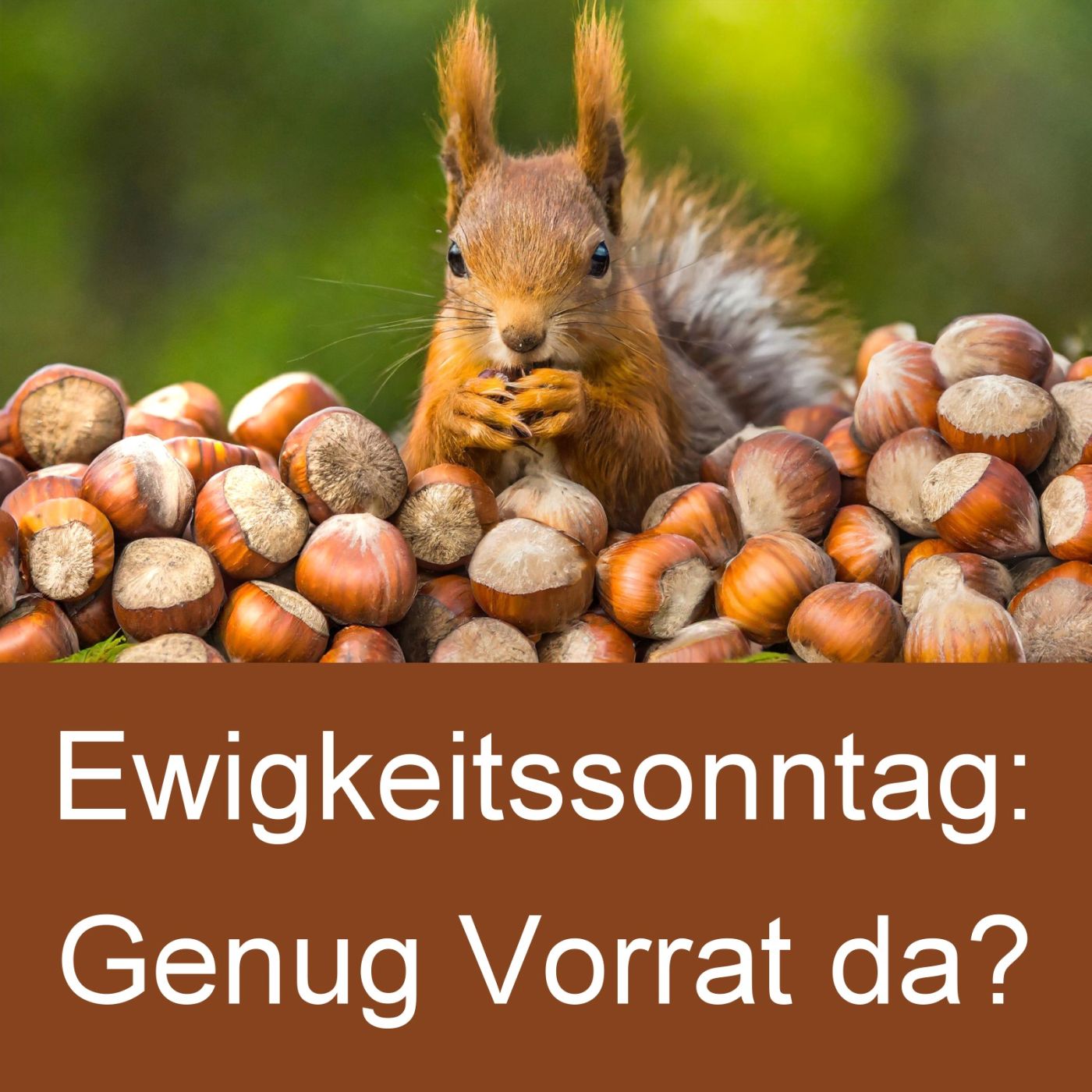 Ewigkeitssonntag: genug Vorrat da? Ewigkeitssonntag: genug Vorrat da?