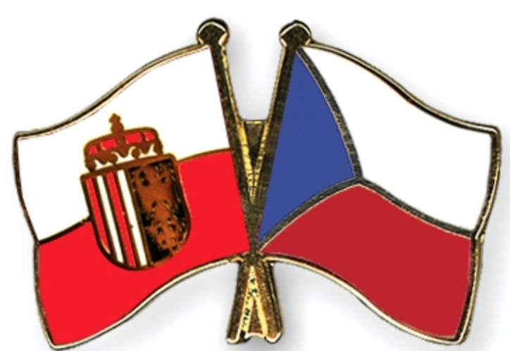 #272 European Czech Republic, join Eurozone now