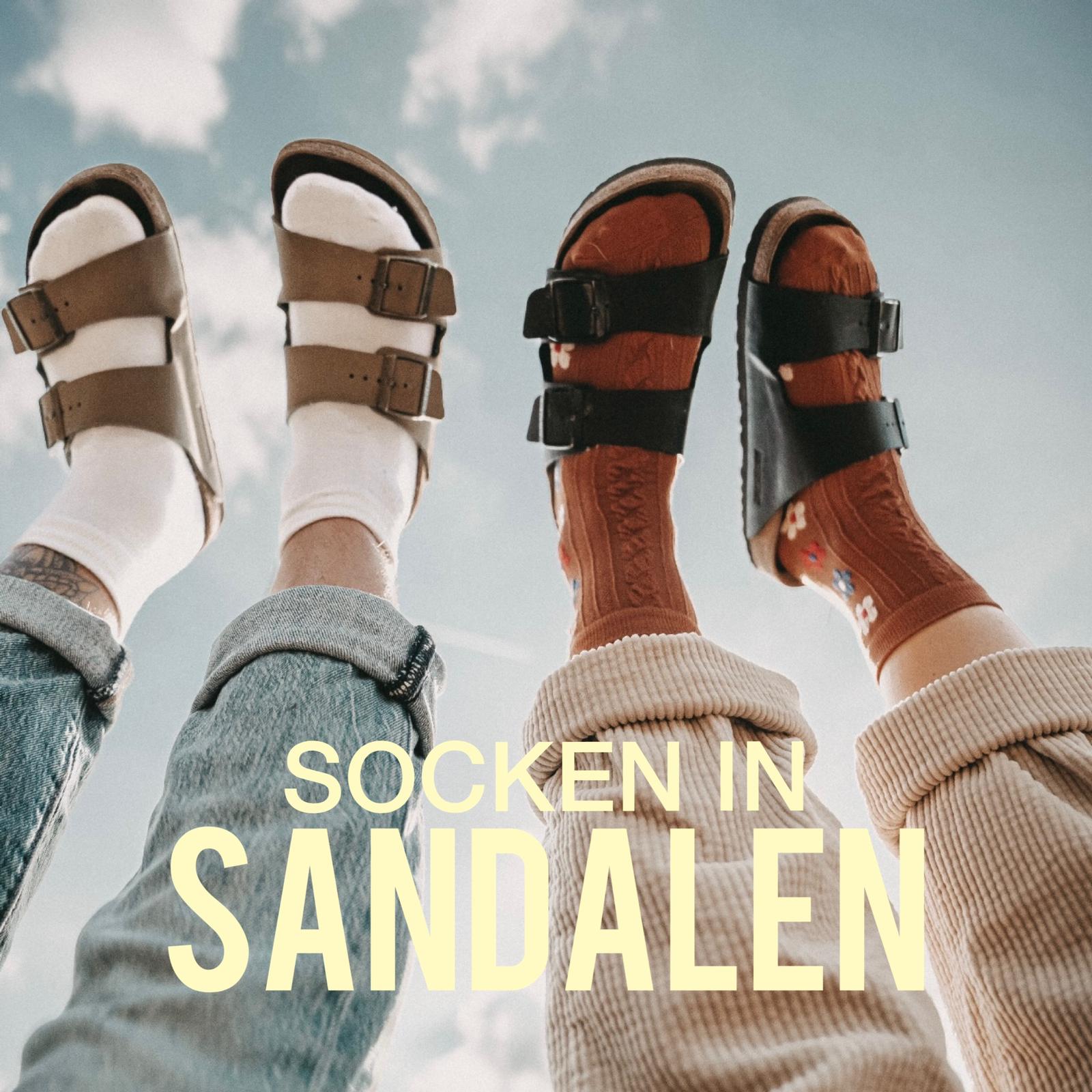 Phönix aus der Asche