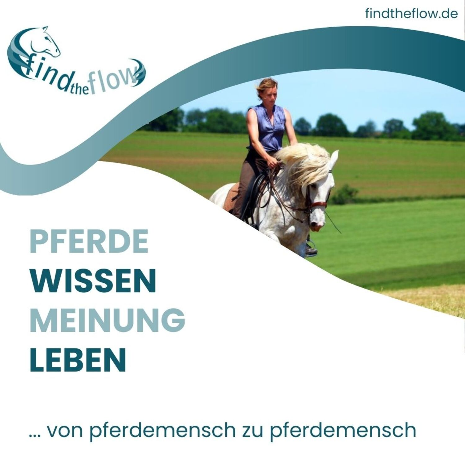find the flow ... von pferdemensch zu pferdemensch