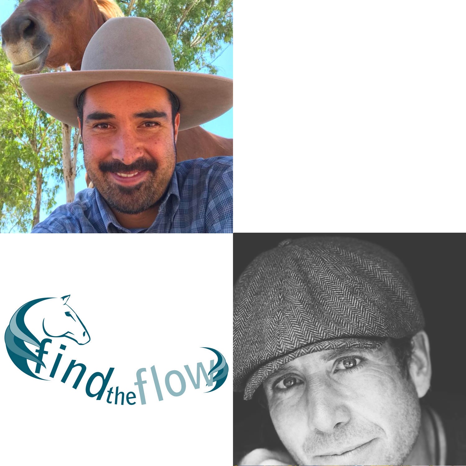 find the flow ... von pferdemensch zu pferdemensch