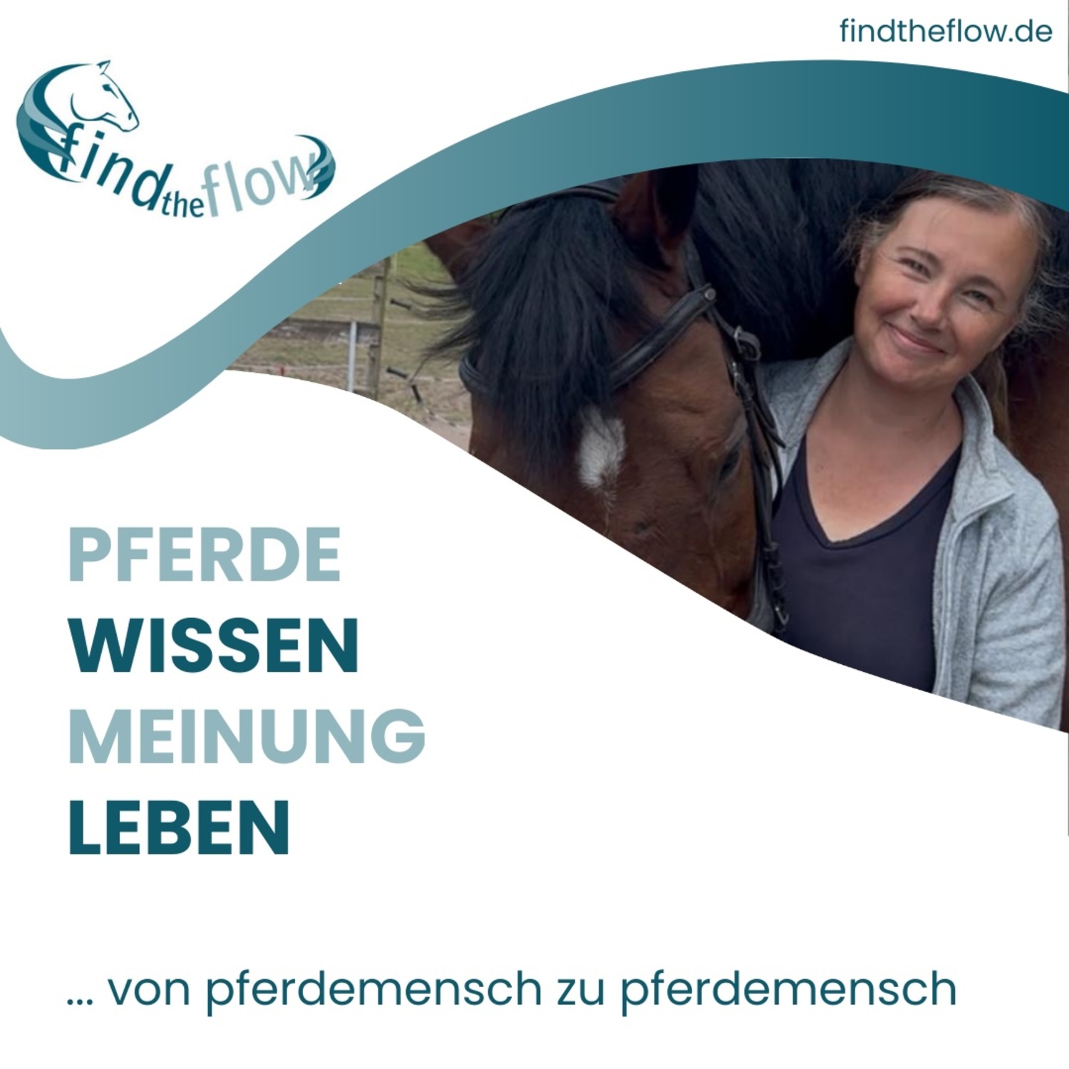 find the flow ... von pferdemensch zu pferdemensch