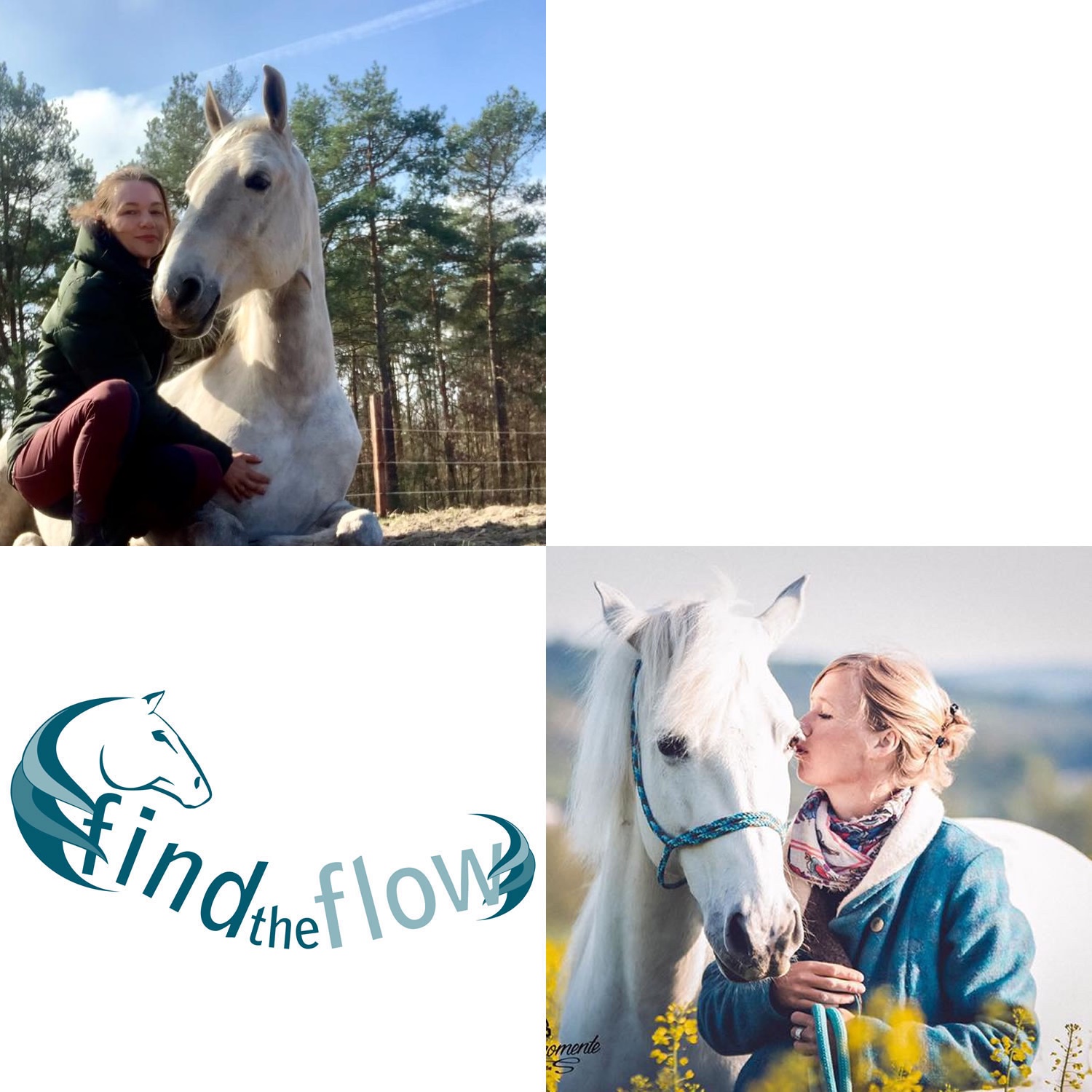 find the flow ... von pferdemensch zu pferdemensch