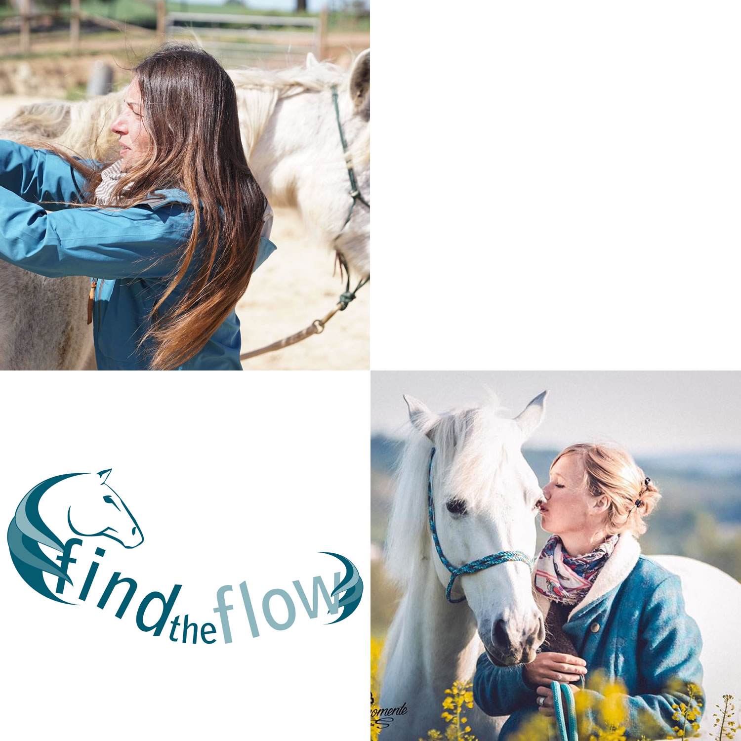 find the flow ... von pferdemensch zu pferdemensch