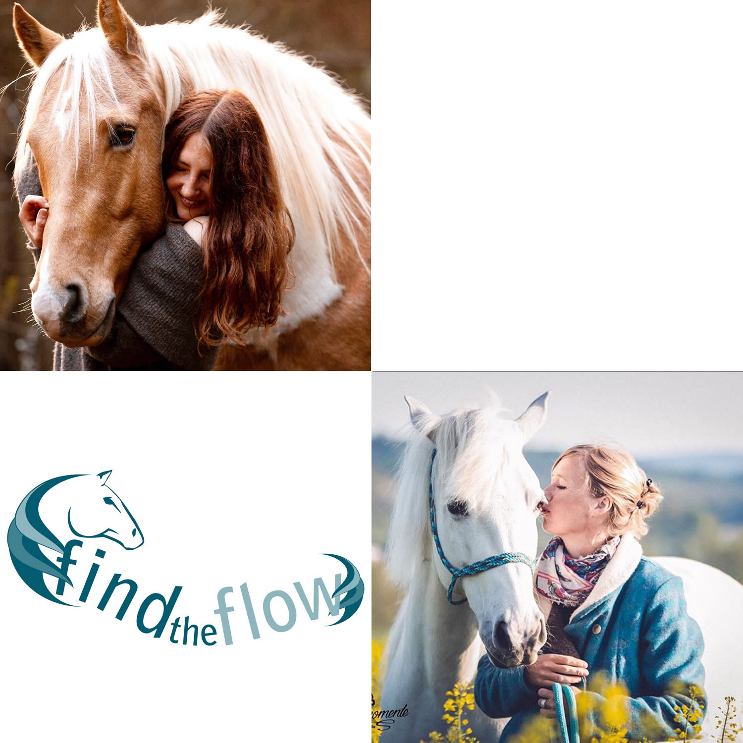 find the flow ... von pferdemensch zu pferdemensch