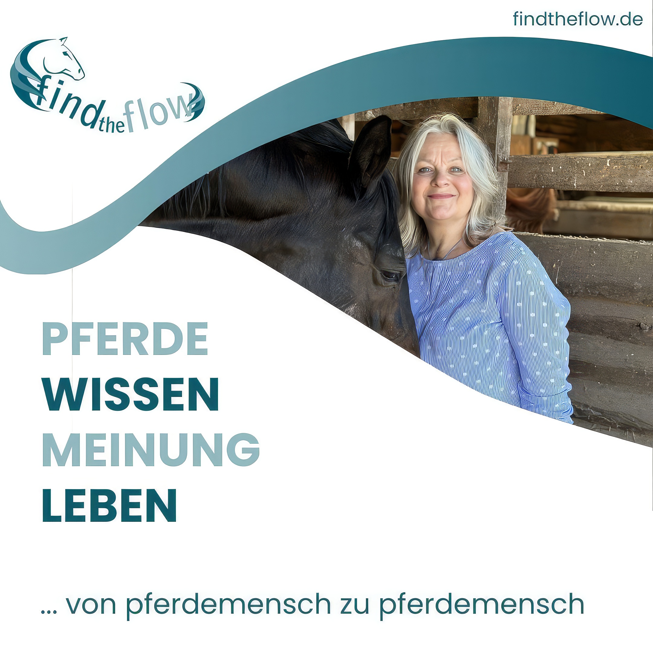 find the flow ... von pferdemensch zu pferdemensch