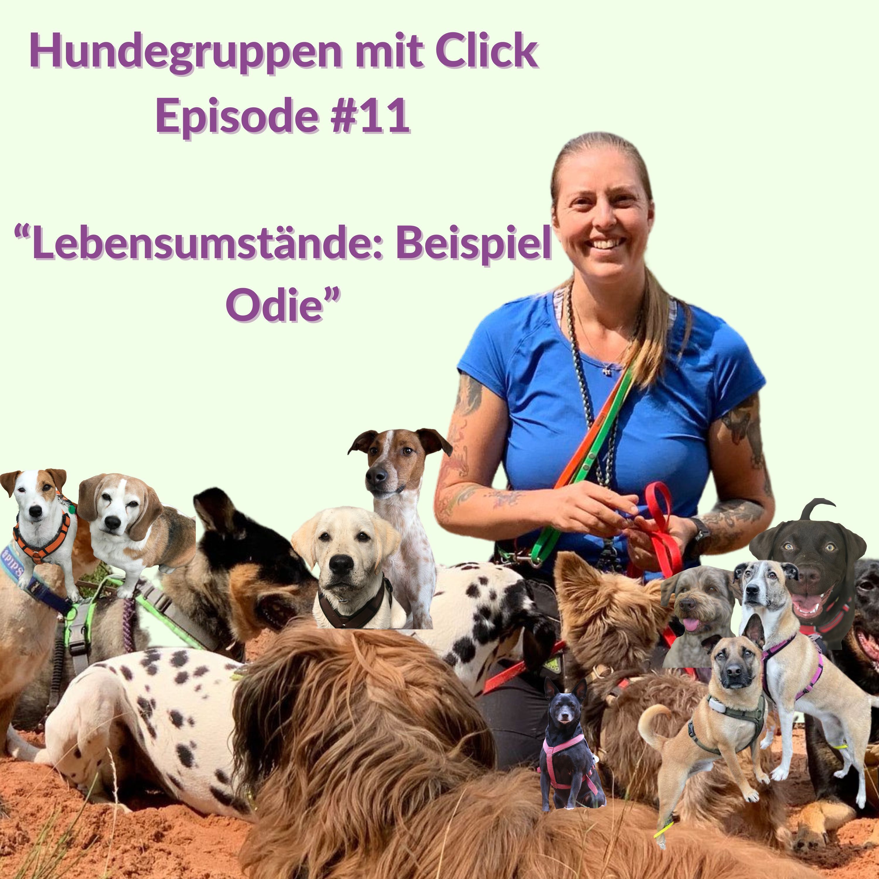 Lebensumstände: Beispiel Odie episode artwork