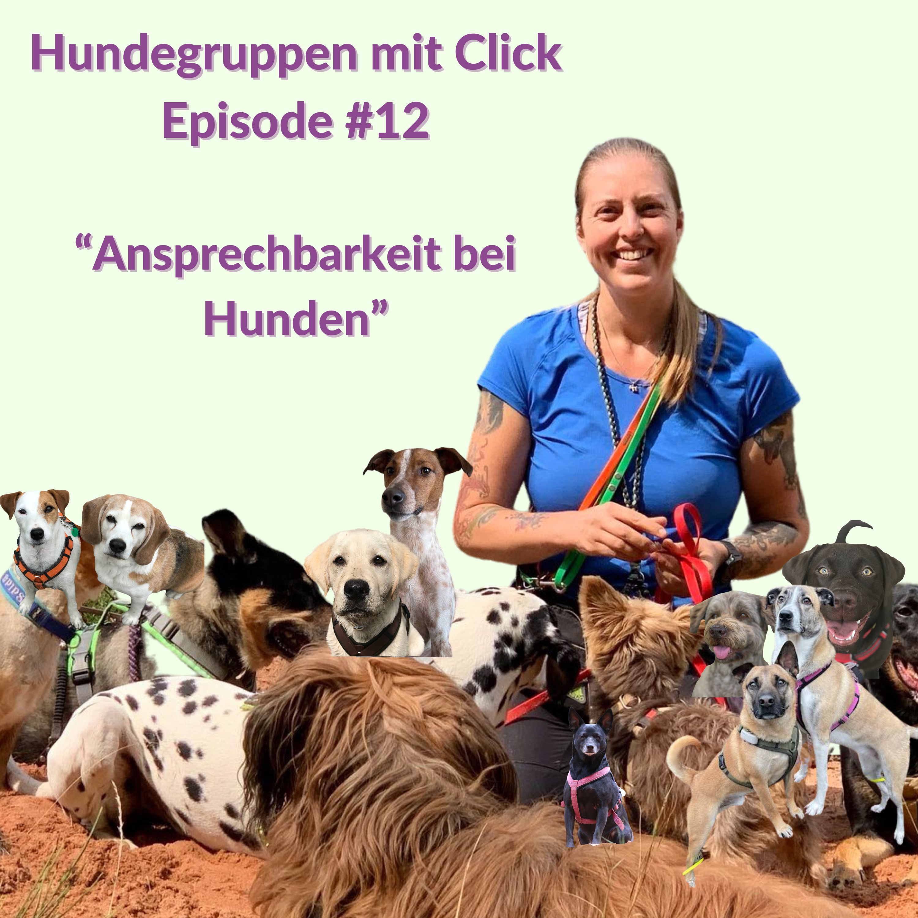 Ansprechbarkeit bei Hunden episode artwork