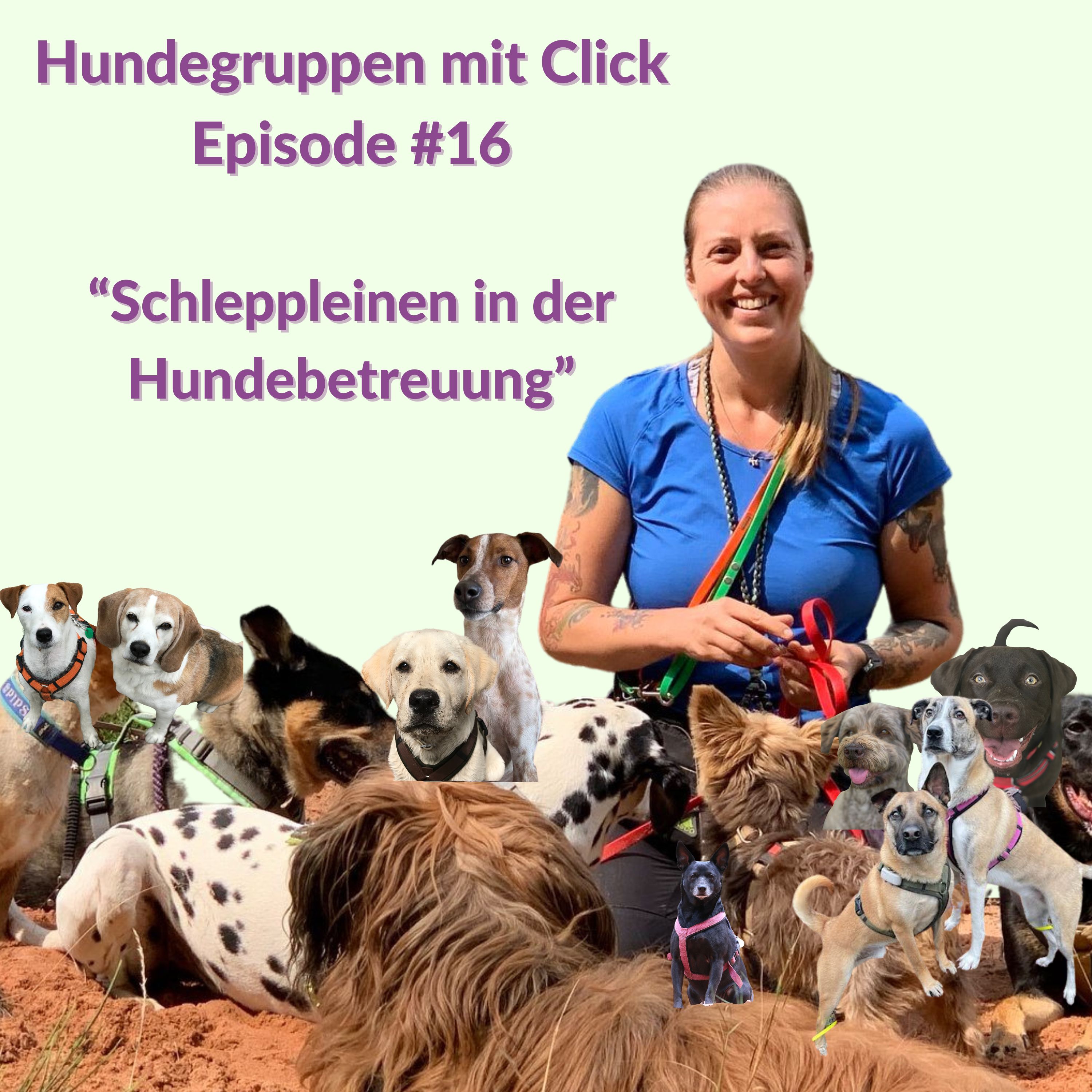 Schleppleinen in der Hundebetreuung episode artwork