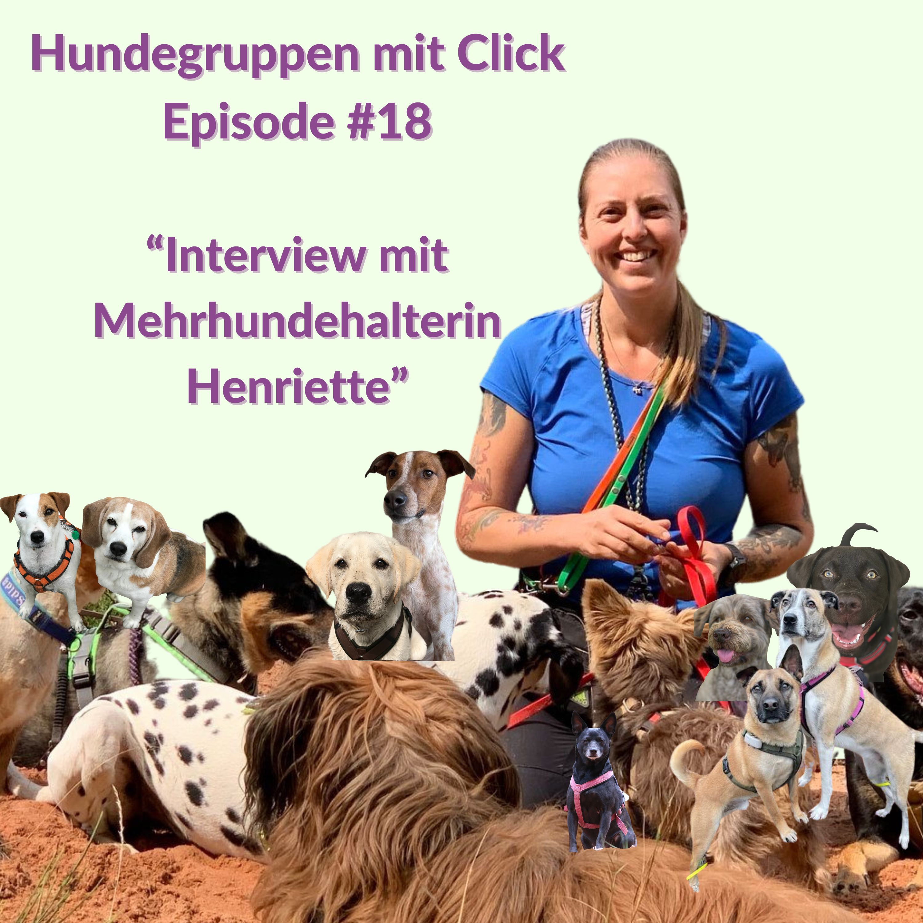 Interview mit Mehrhundehalterin Henriette episode artwork