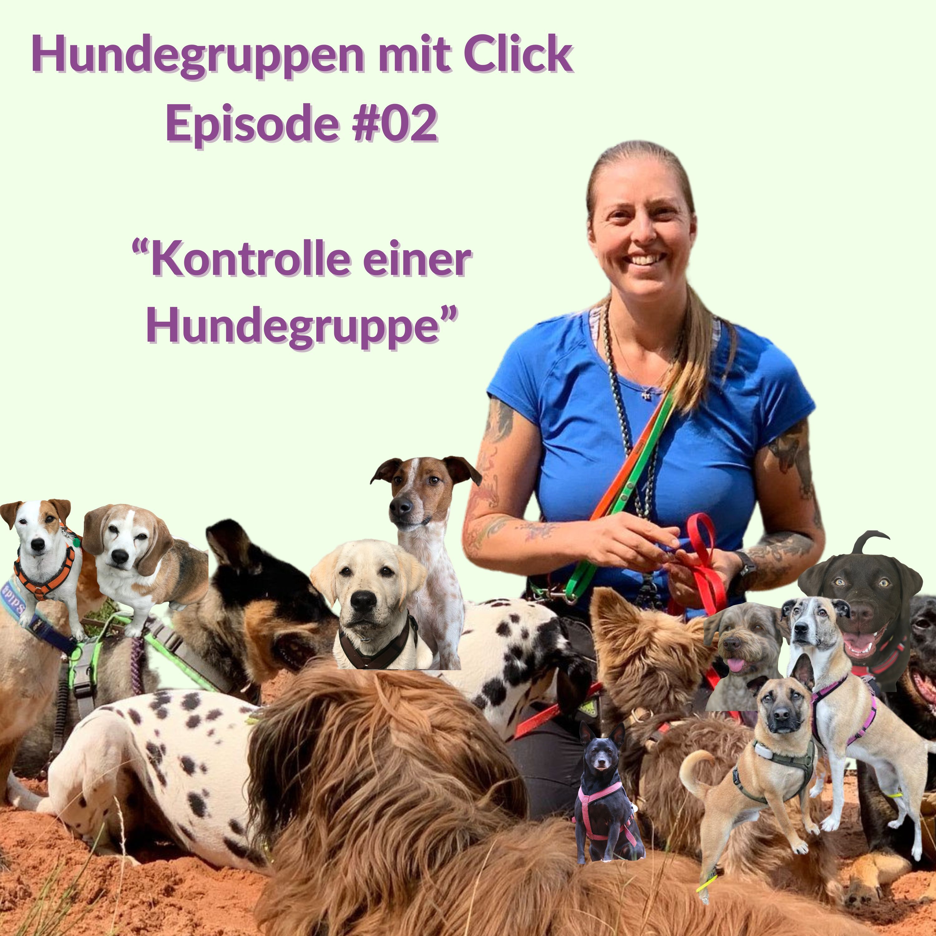 Kontrolle einer Hundegruppe episode artwork