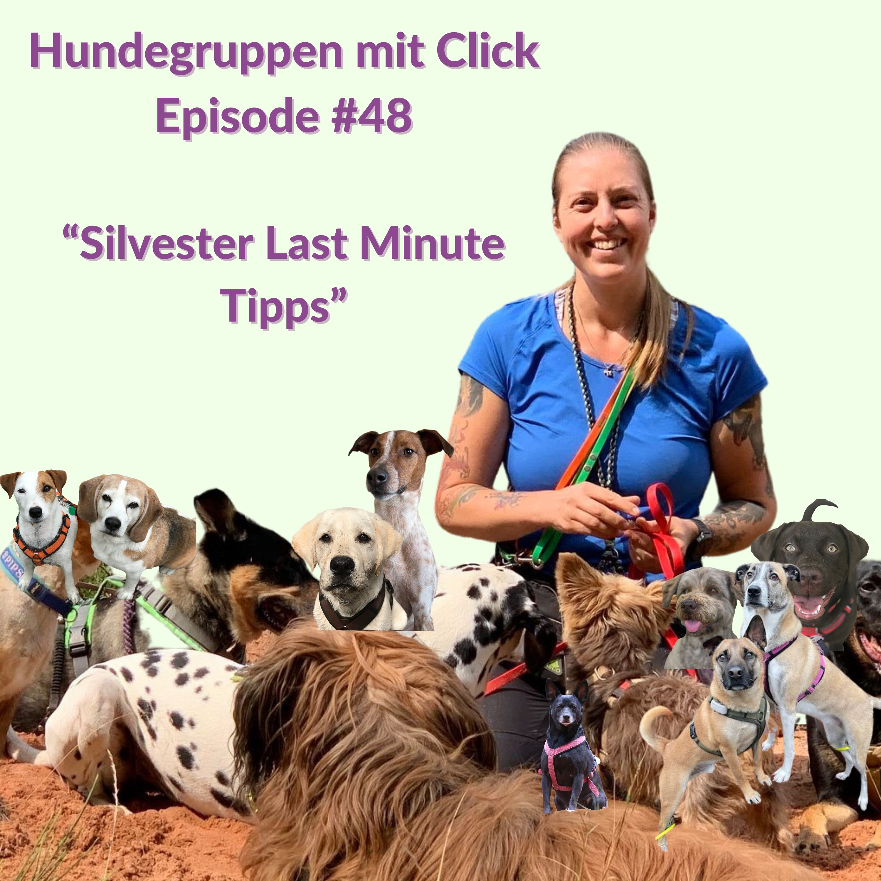 Silvester Last Minute Tipps episode artwork