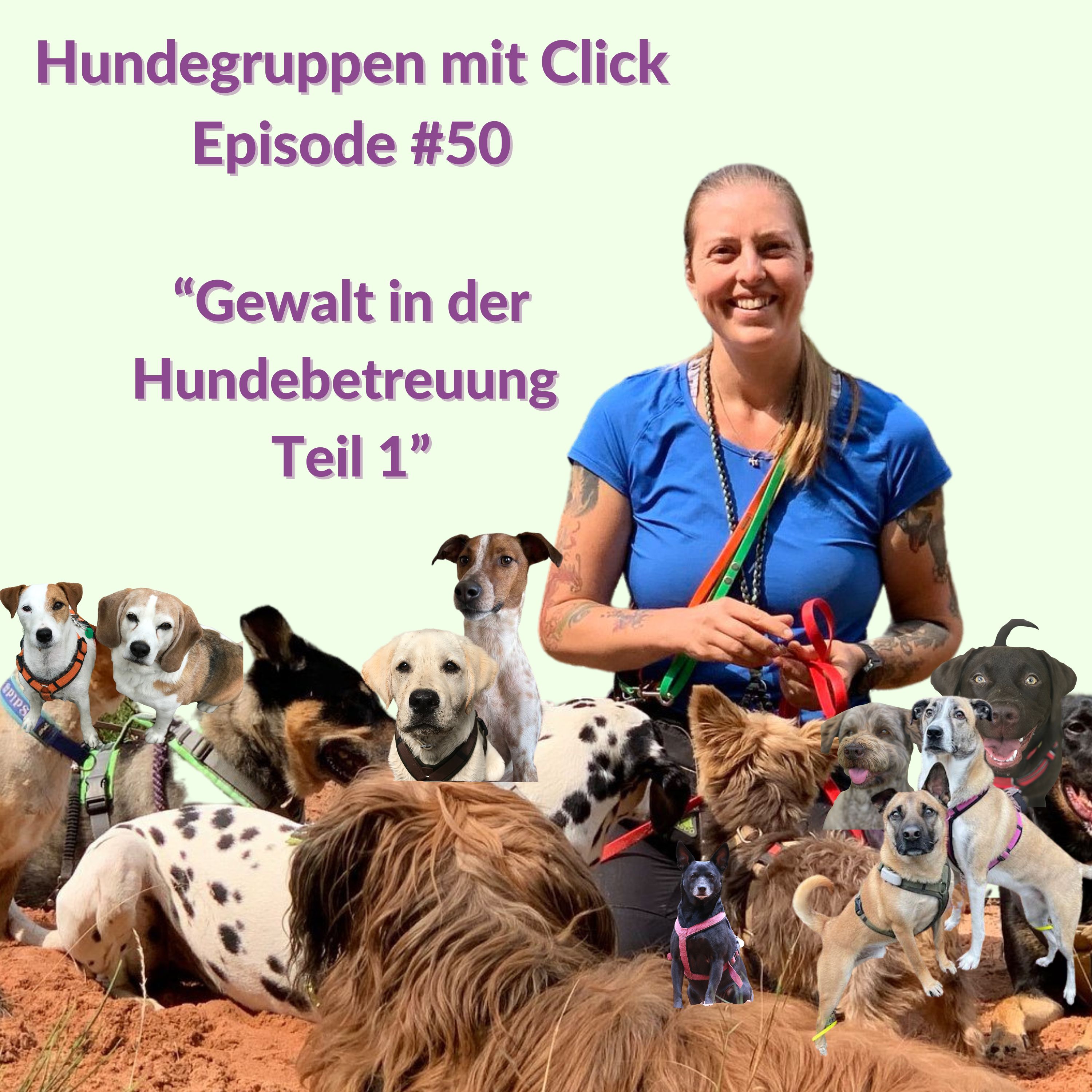 Gewalt in der Hundebetreuung Teil 1 episode artwork