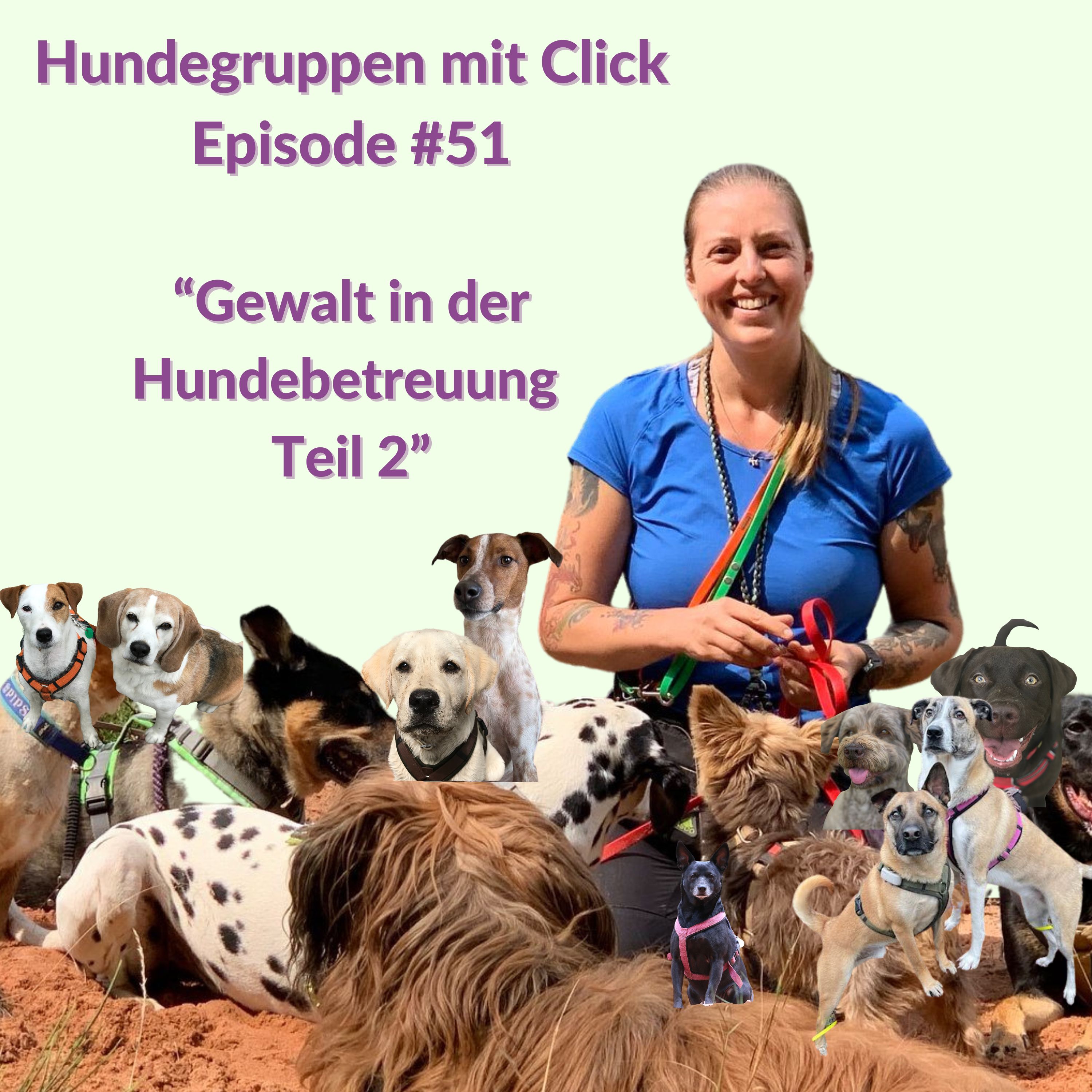 Gewalt in der Hundebetreuung Teil 2 episode artwork