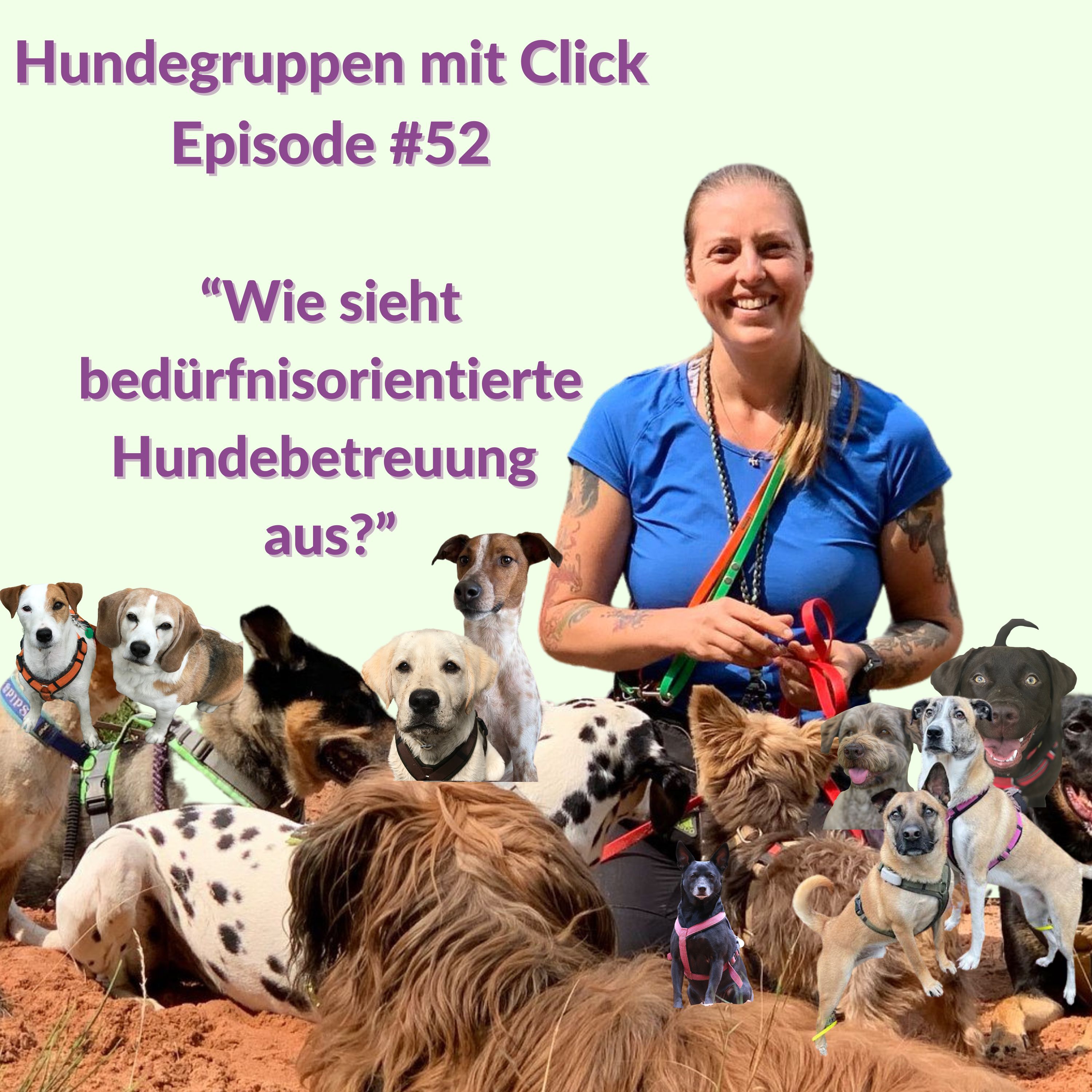 Wie sieht bedürfnisorientierte Hundebetreuung aus? episode artwork