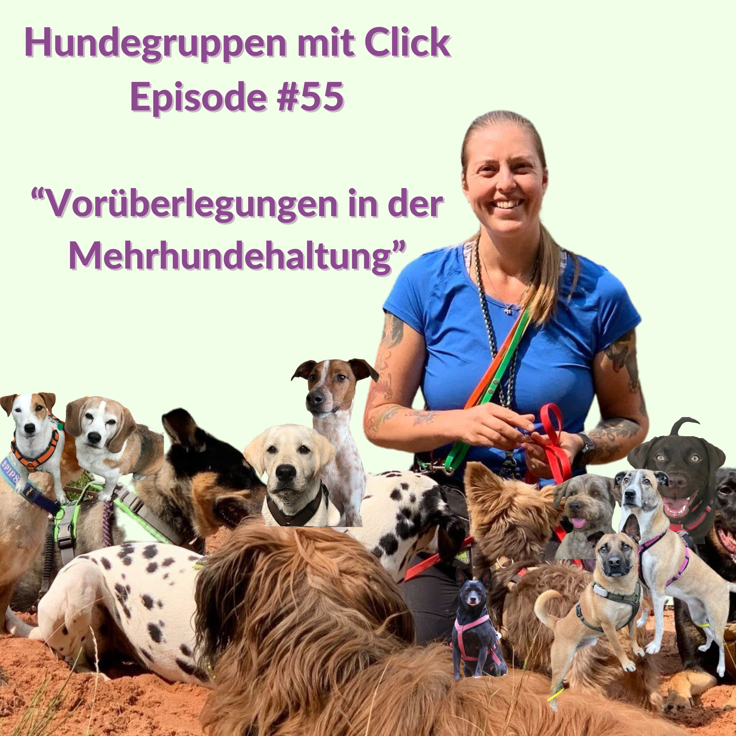 Vorüberlegungen in der Mehrhundehaltung episode artwork