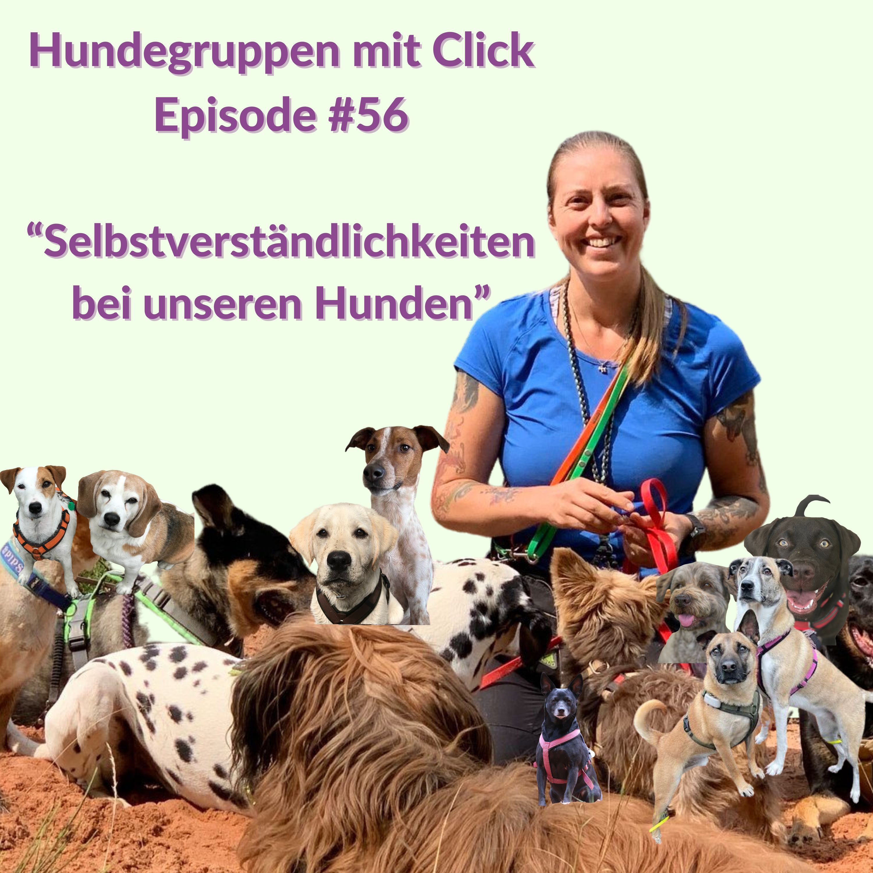 Selbstverständlichkeiten bei unseren Hunden episode artwork