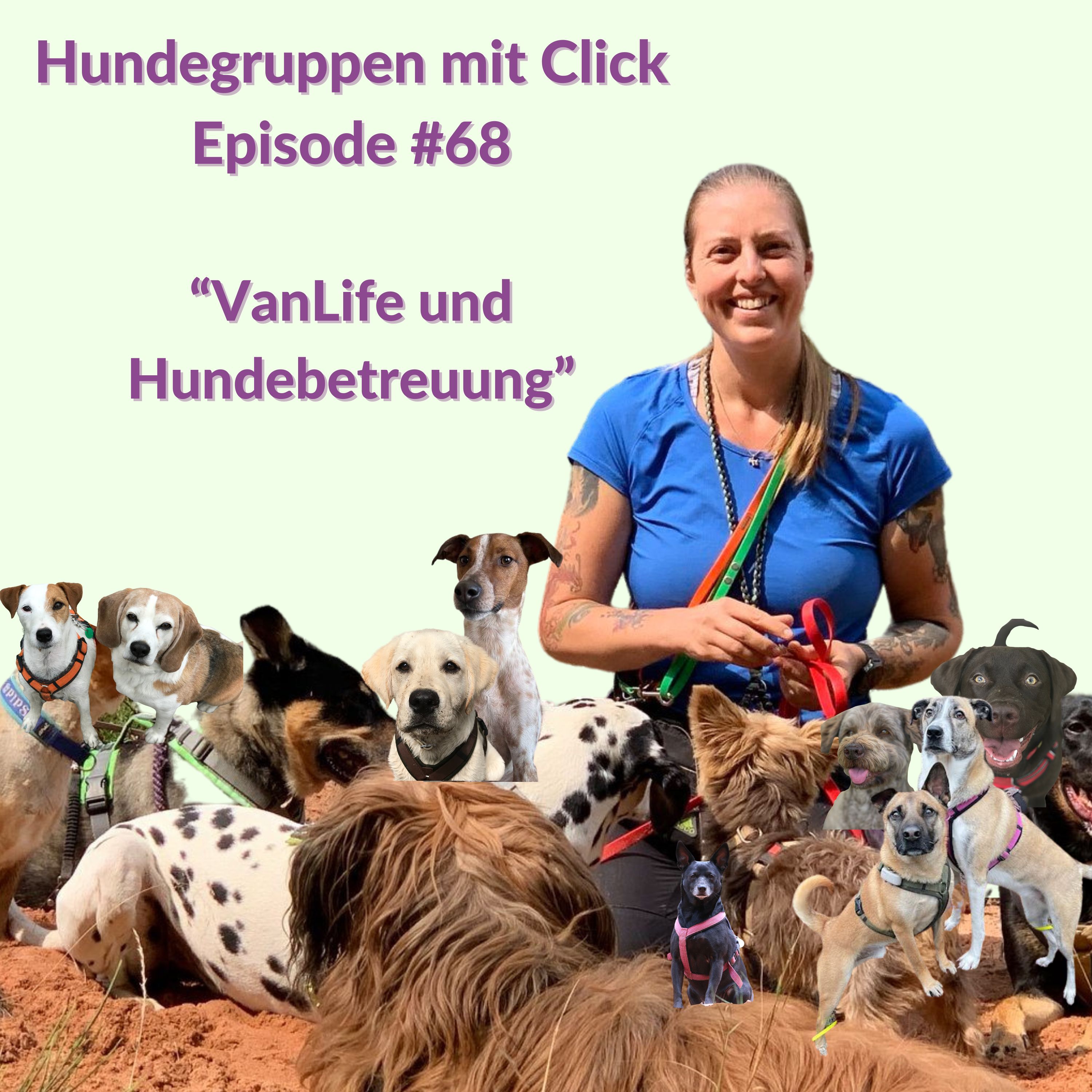 VanLife und Hundebetreuung episode artwork