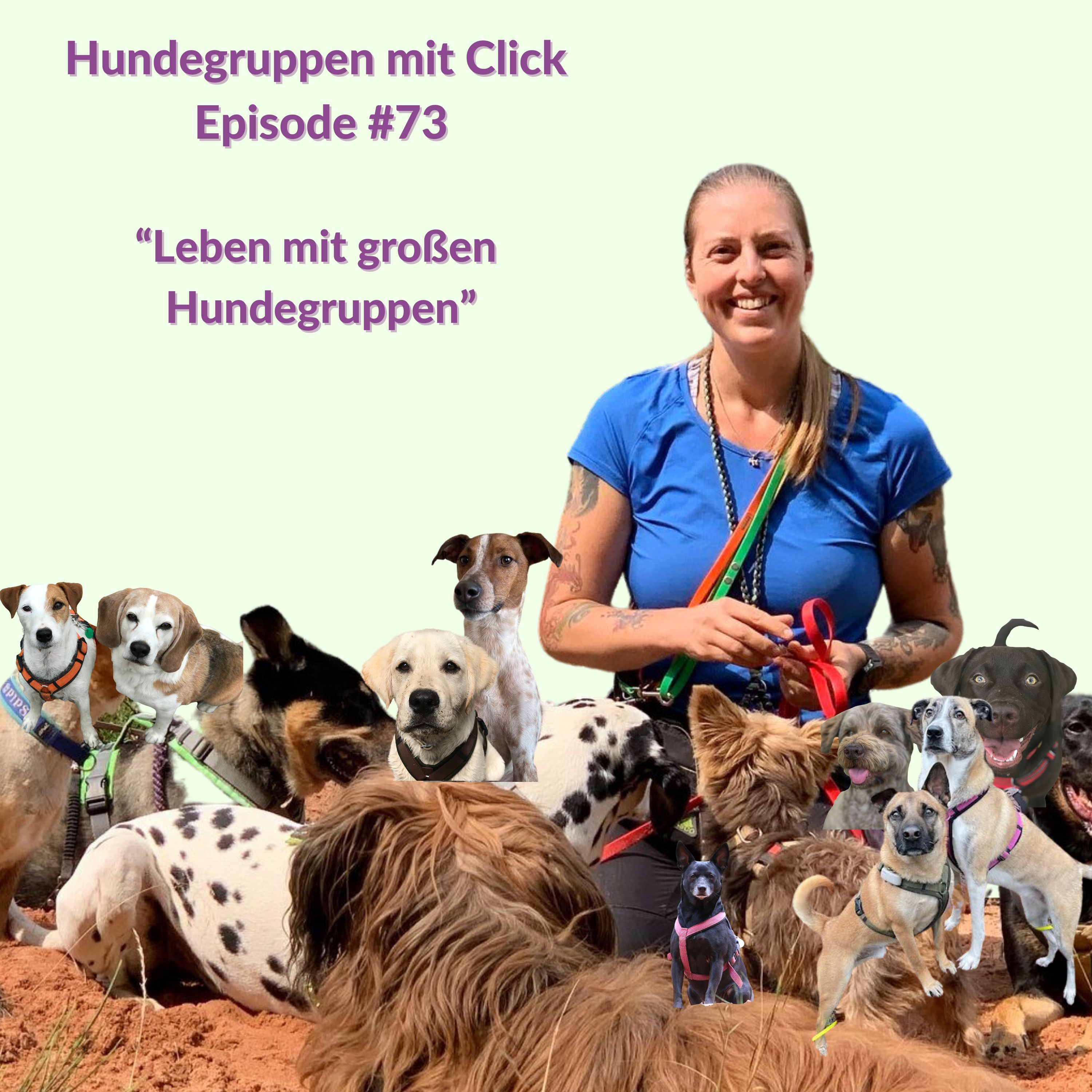 Leben mit großen Hundegruppe episode artwork