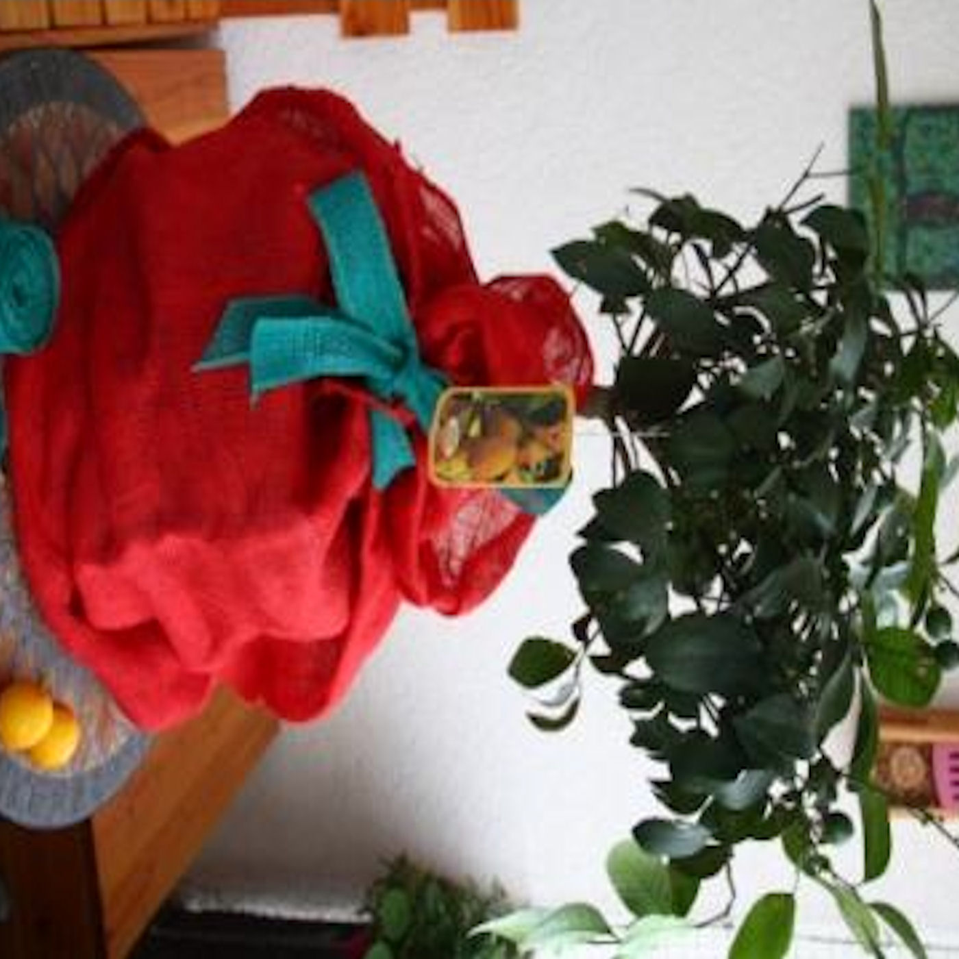 #001 Winterschutz im Garten und auf der Terrasse