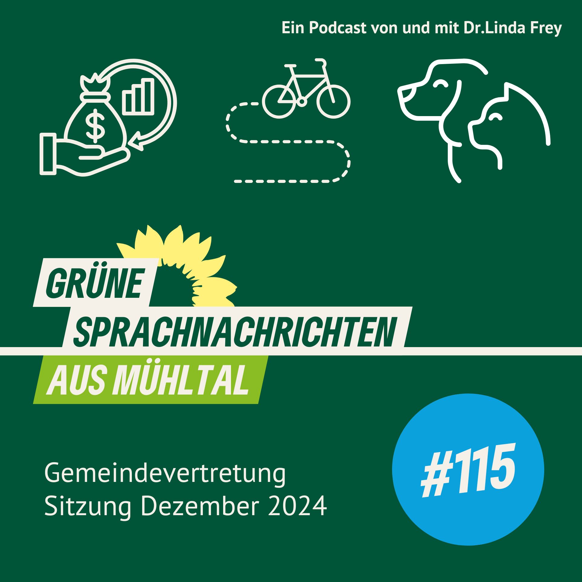 Folge 115 Gemeindevertreter Sitzung Dezember 2024