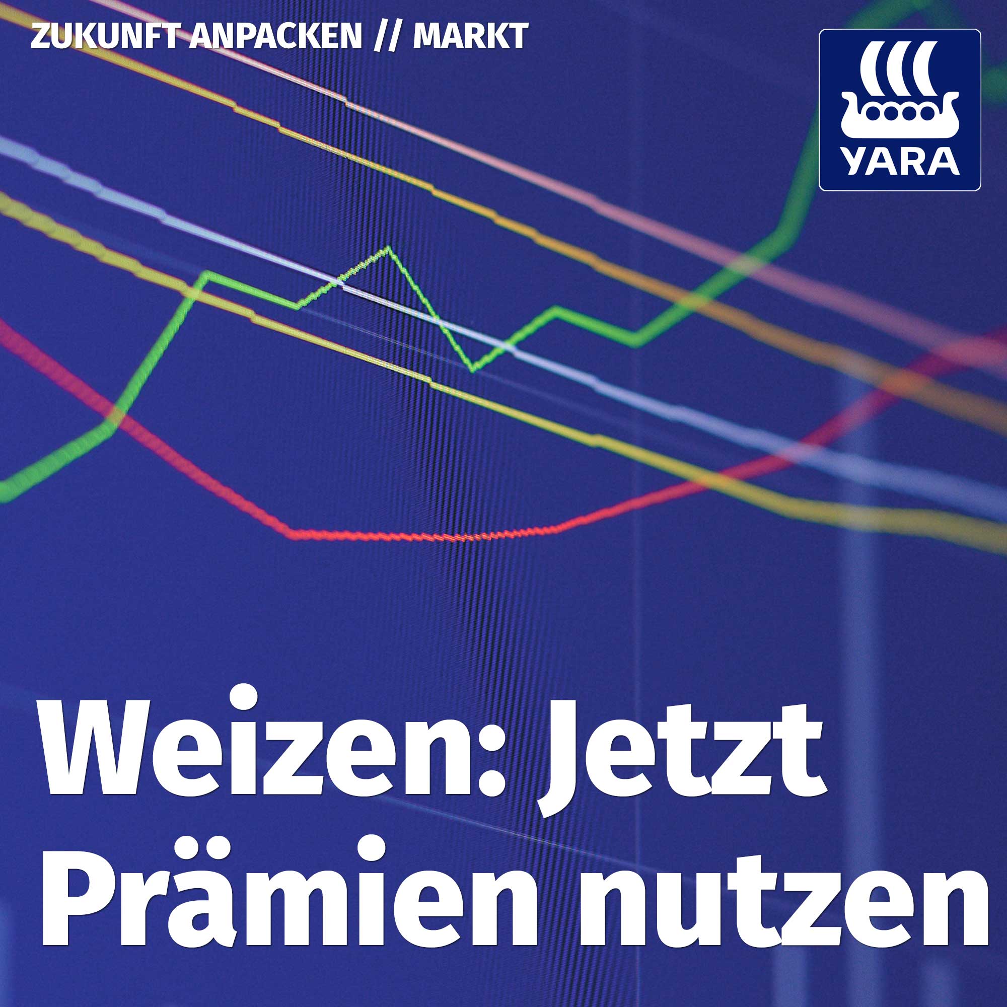 #33: Markt Spezial – Getreidepreise und Empfehlungen #33: Markt Spezial – Getreidepreise und Empfehlungen