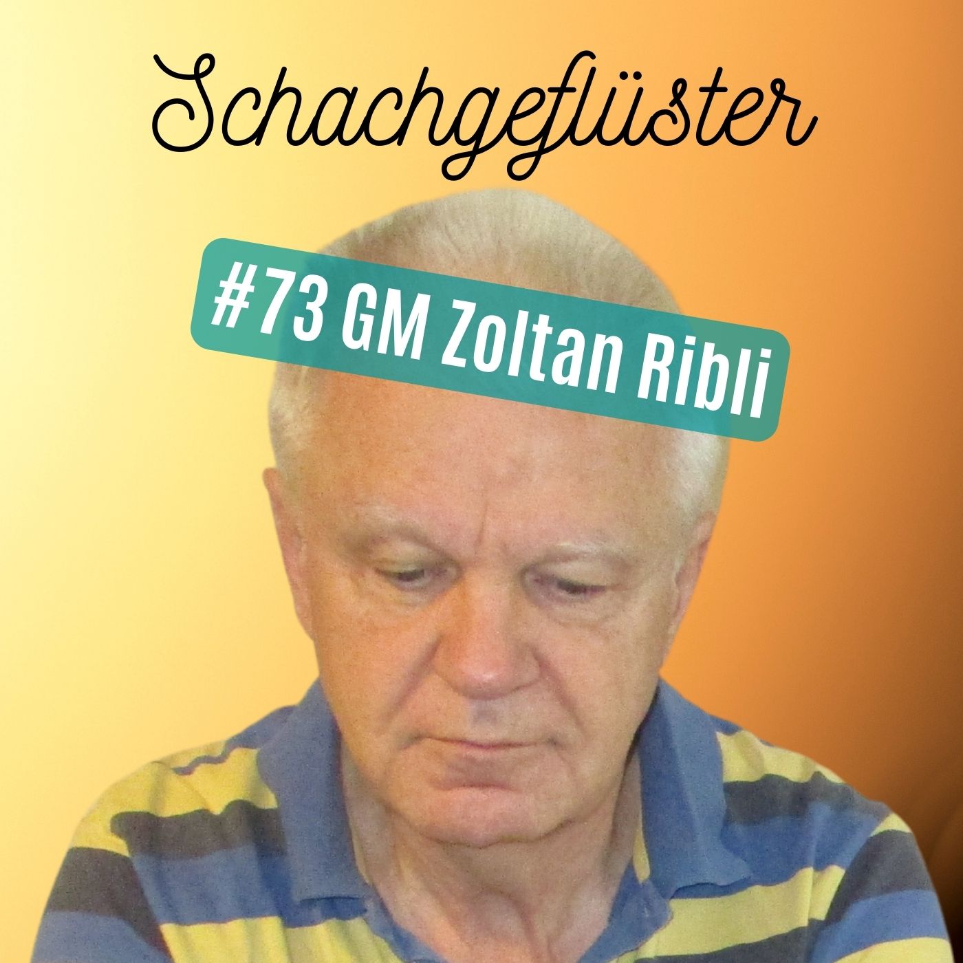 Schachgeflüster by Chess Tigers