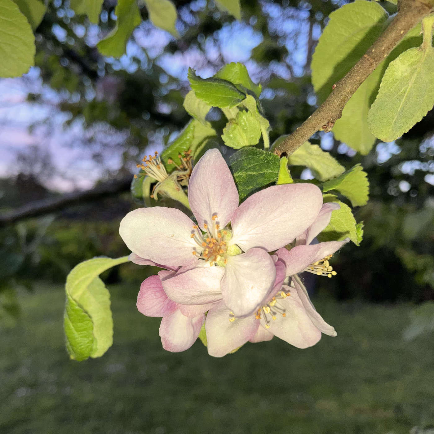 Beeskow erzählt - Jugend