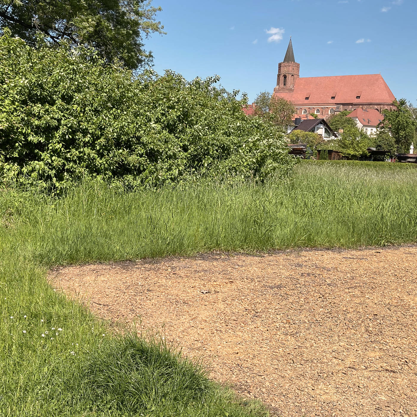 Beeskow erzählt - Jugend