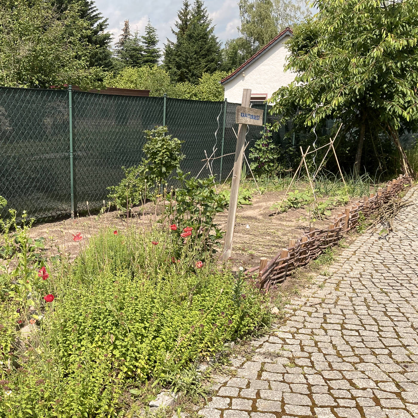 Beeskow erzählt - Jugend