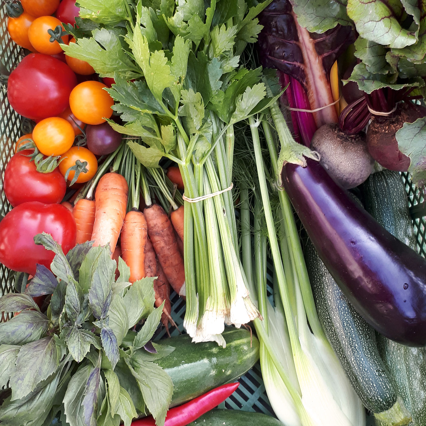 Beeskow erzählt - Jugend