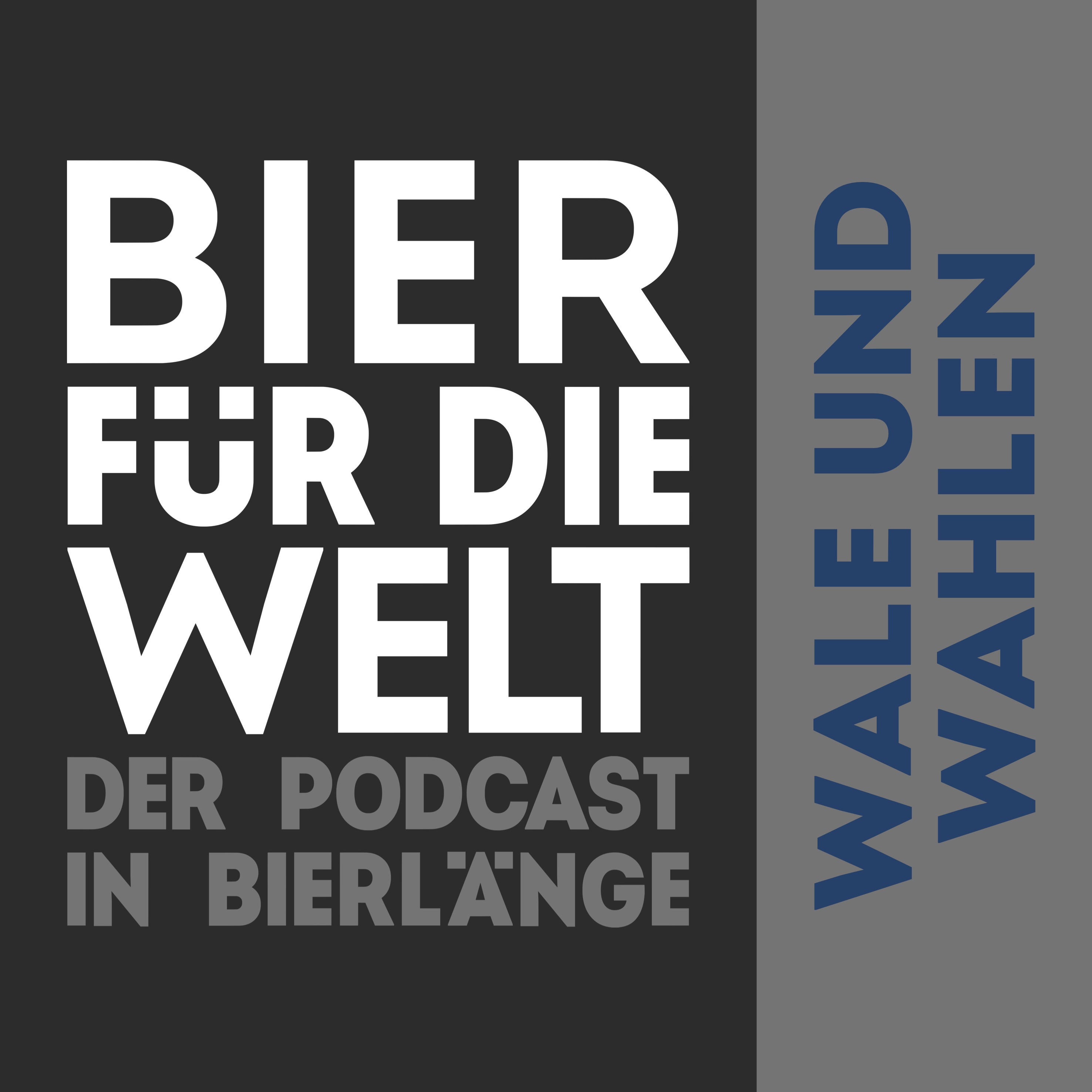 #76 Wale und Wahlen episode artwork