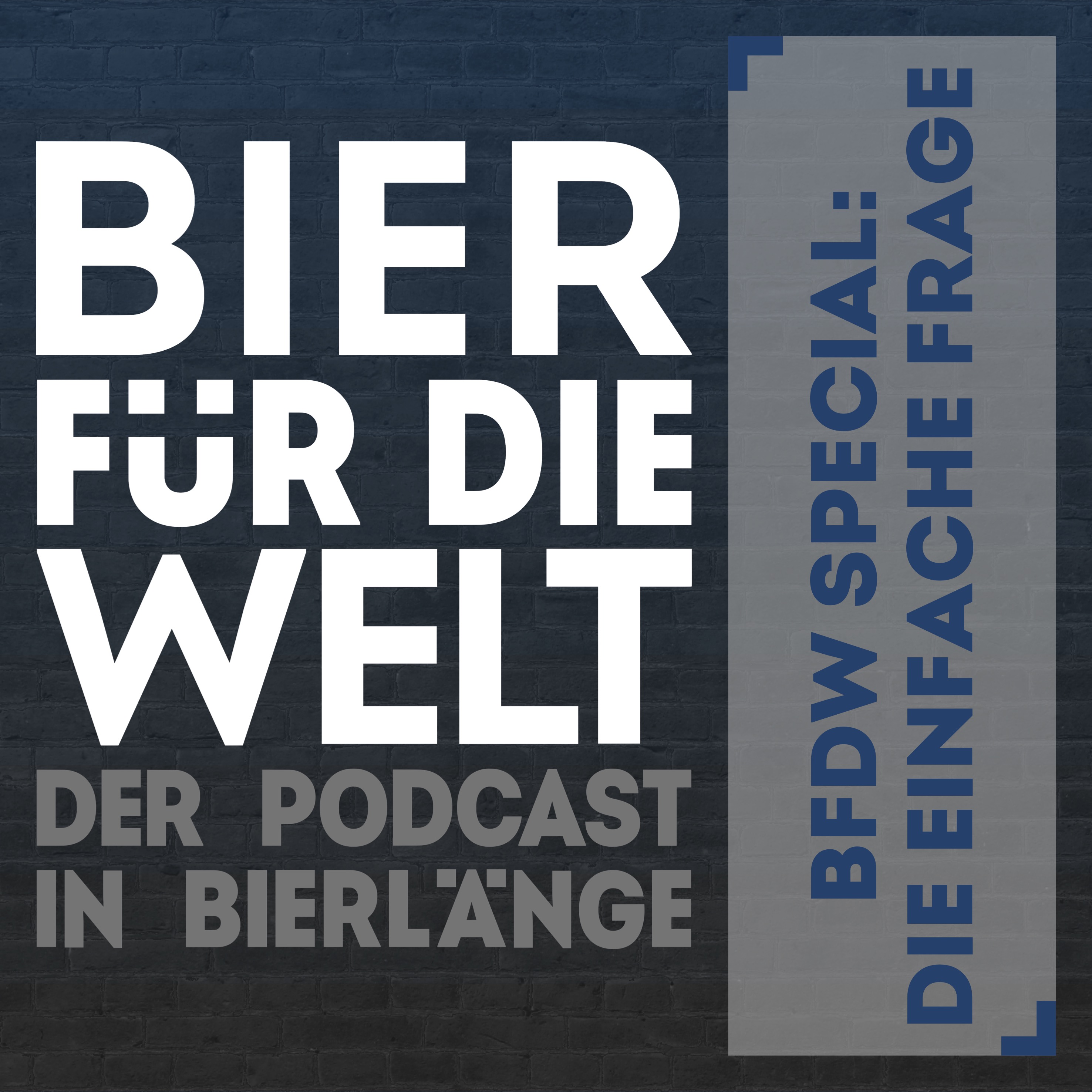 #110 BfdW Speacial: Die einfache Frage episode artwork