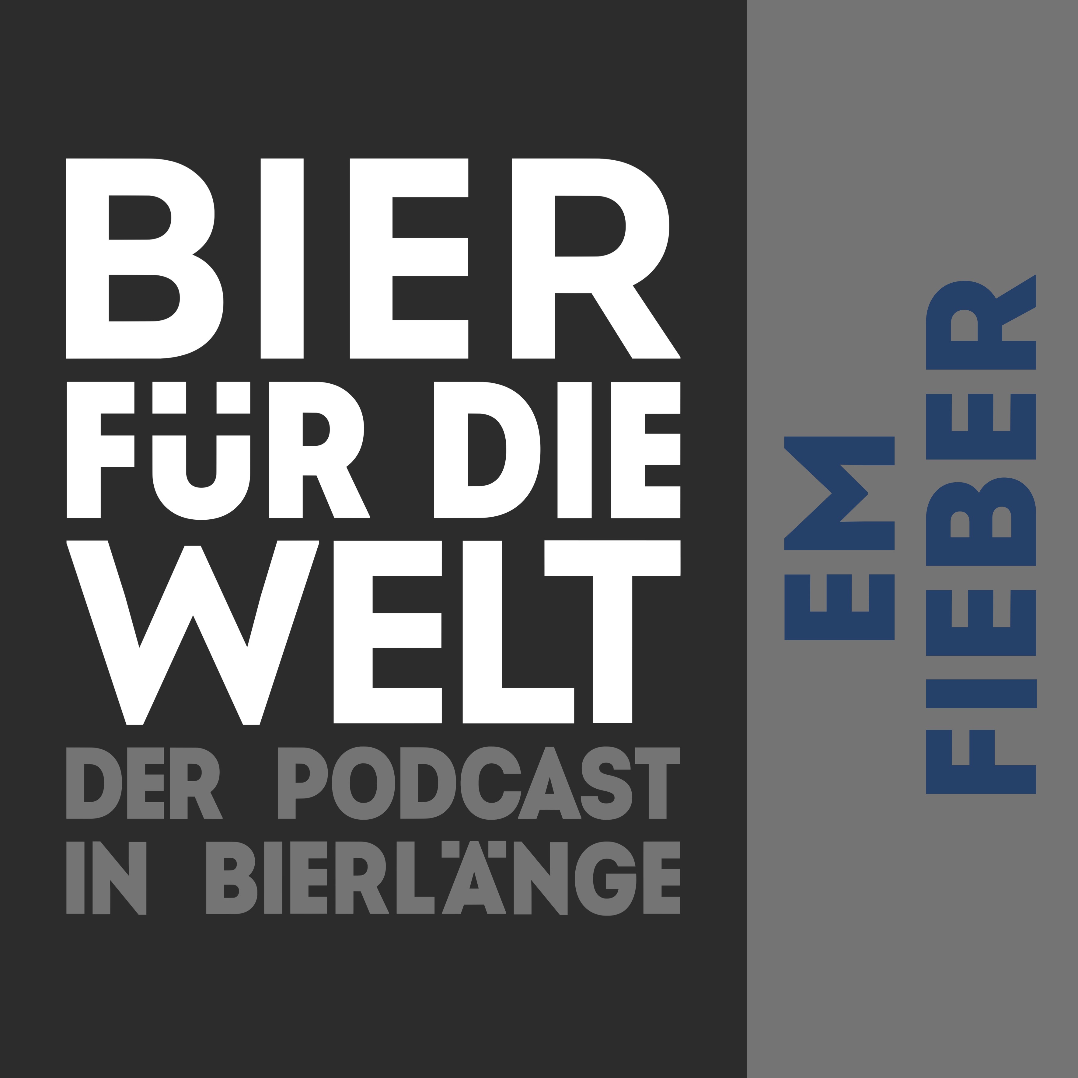 #67 EM Fieber episode artwork