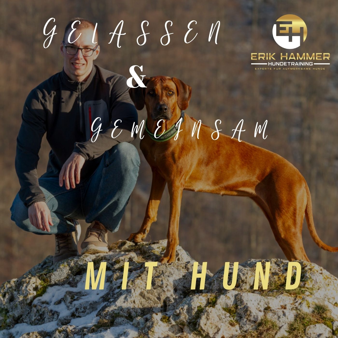 #154 - Wie du mehr Verbindung zu deinem Hund schaffst