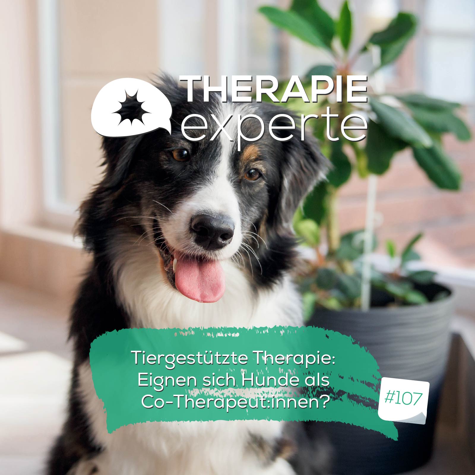 Tiergestützte Therapie: Eignen sich Hunde als Co-Therapeut:innen? episode artwork