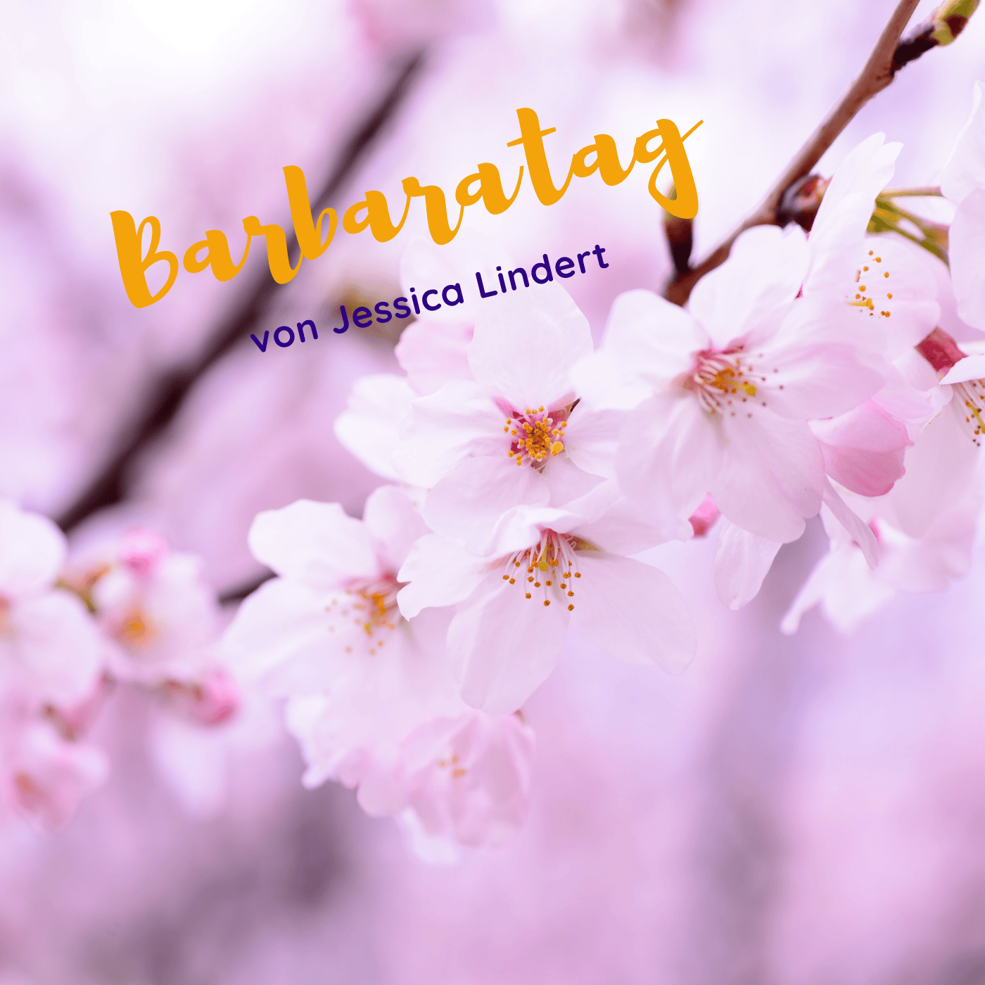 Barbaratag - warten auf die Blüten episode artwork