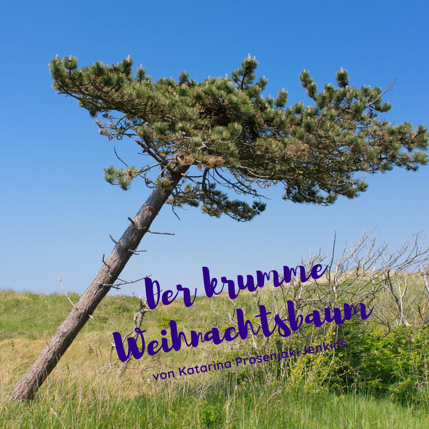 Der krumme Weihnachtsbaum episode artwork