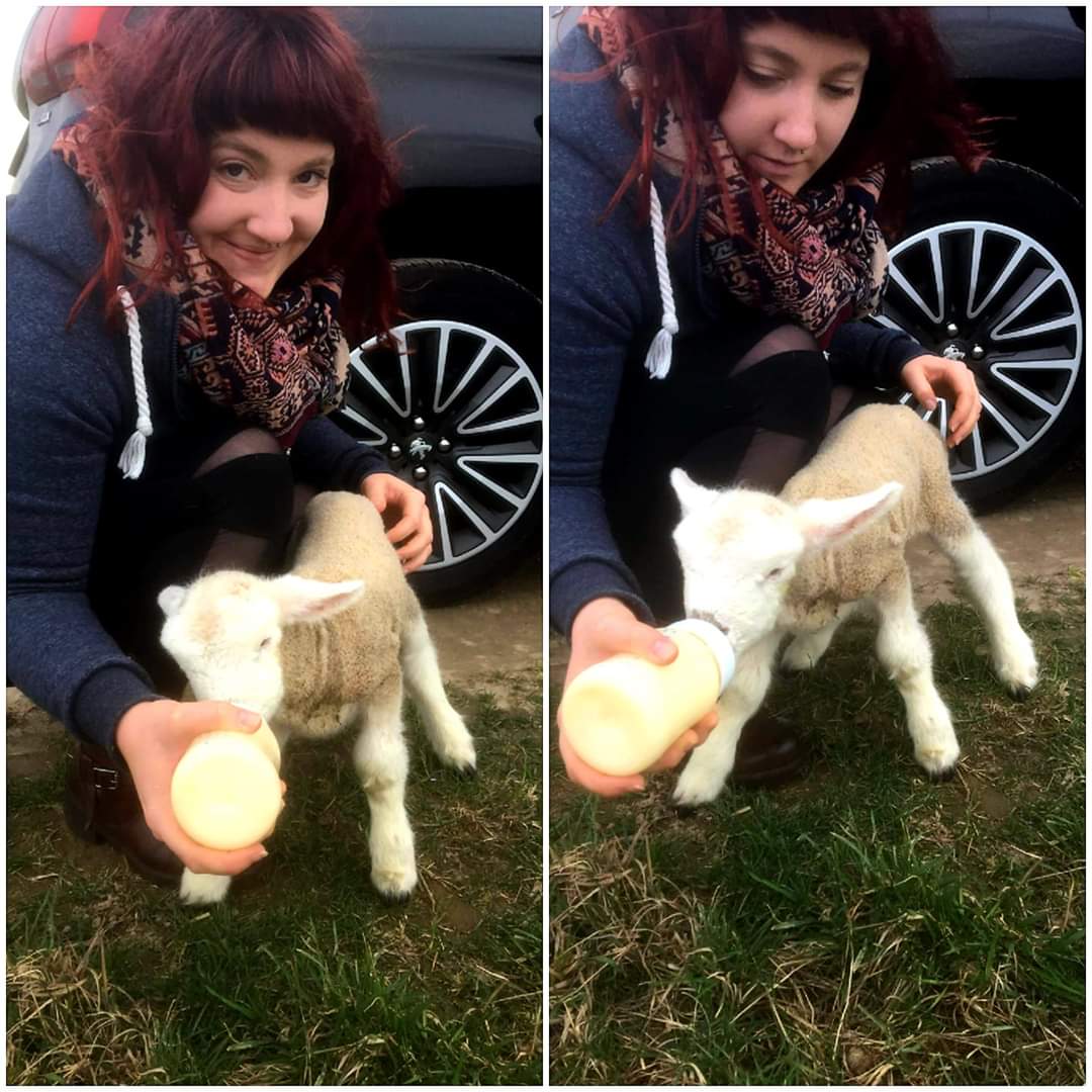 Herzwärts und Heilwärts - Wie du dir dein Traumleben manifestierst